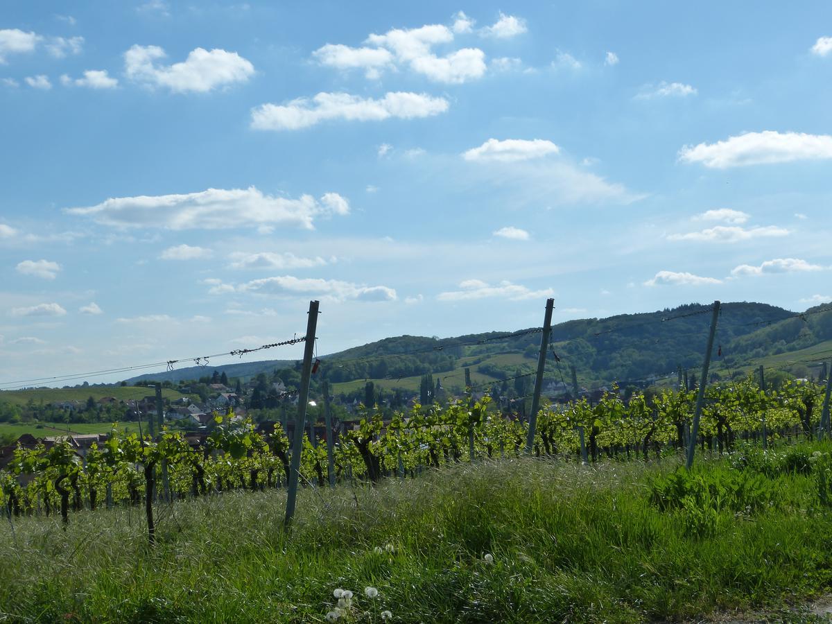 Gaestehaus Annel Niederhorbach 外观 照片