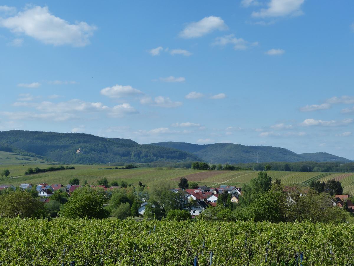Gaestehaus Annel Niederhorbach 外观 照片