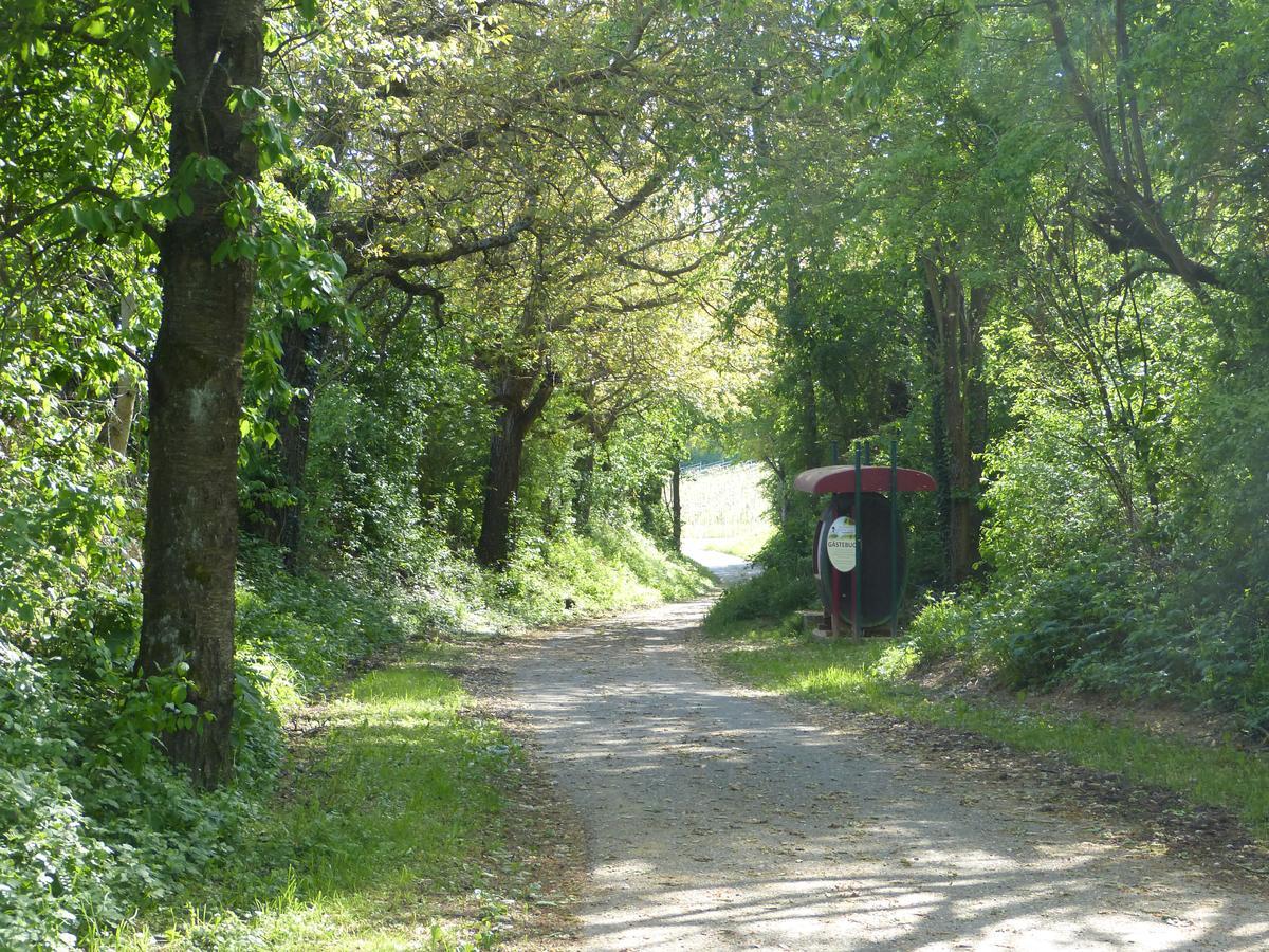 Gaestehaus Annel Niederhorbach 外观 照片