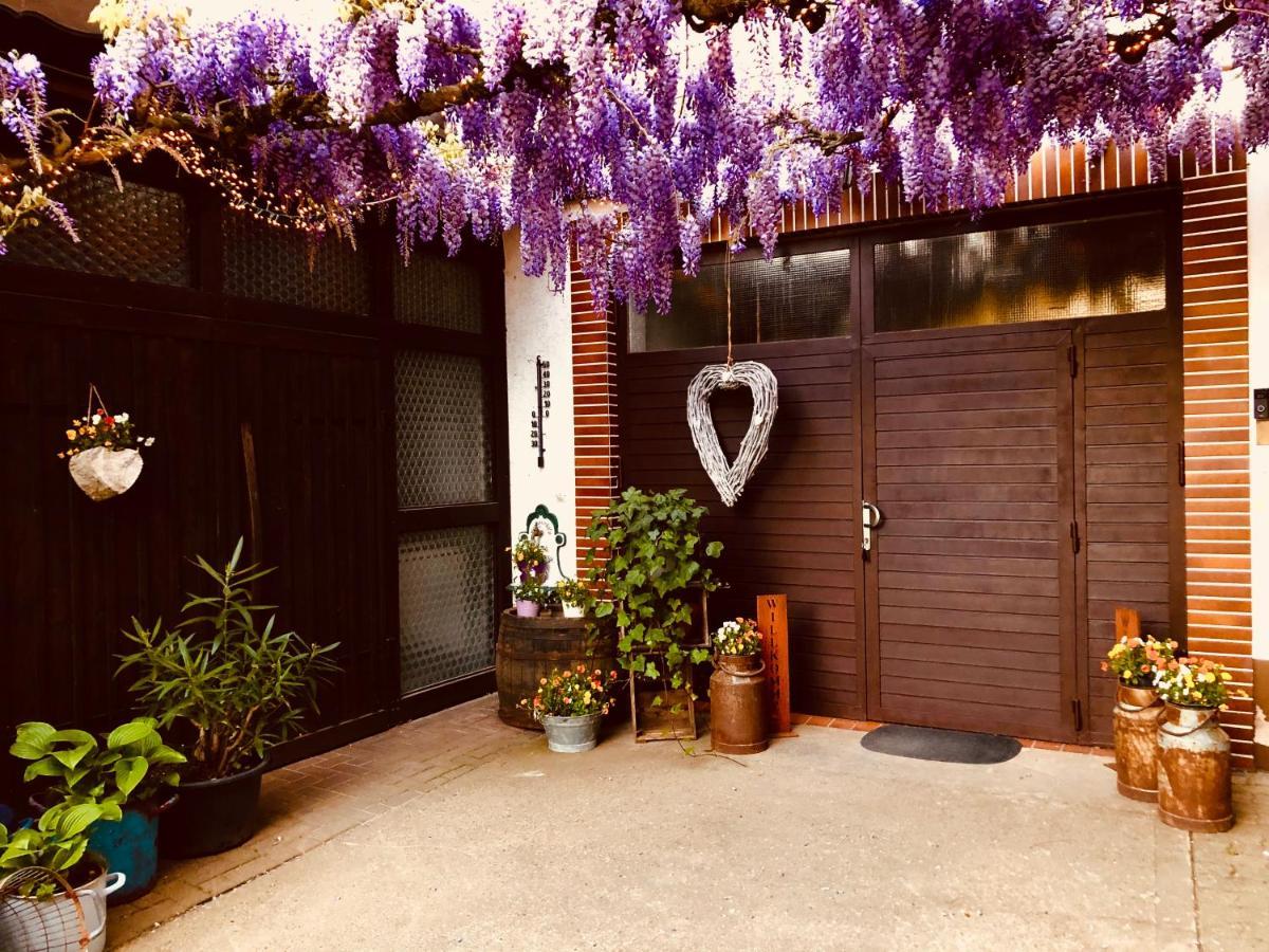 Gaestehaus Annel Niederhorbach 外观 照片